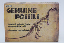 Load image into Gallery viewer, Kit, Genuine Fossils Box Collection