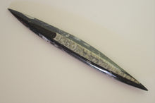 Load image into Gallery viewer, Fossil, Orthoceras Polished