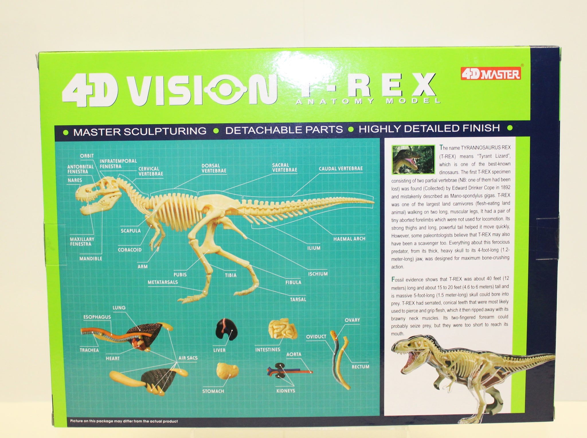 Science Kit-T Rex 4D Vision – Science North