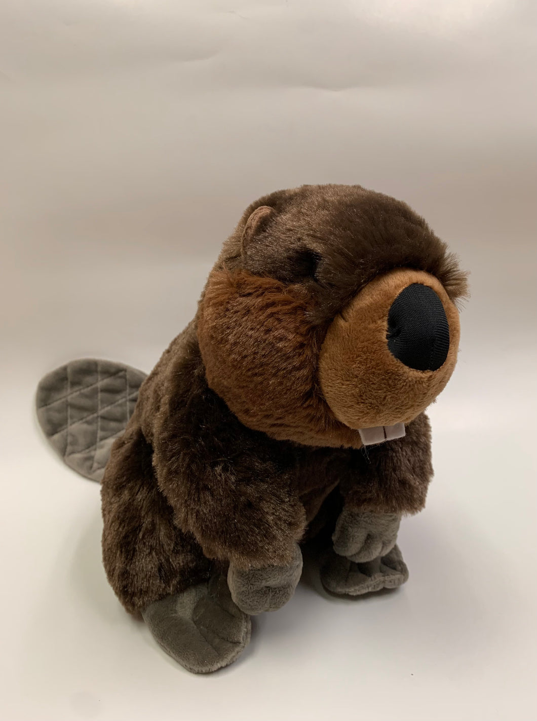 Plush-Beaver