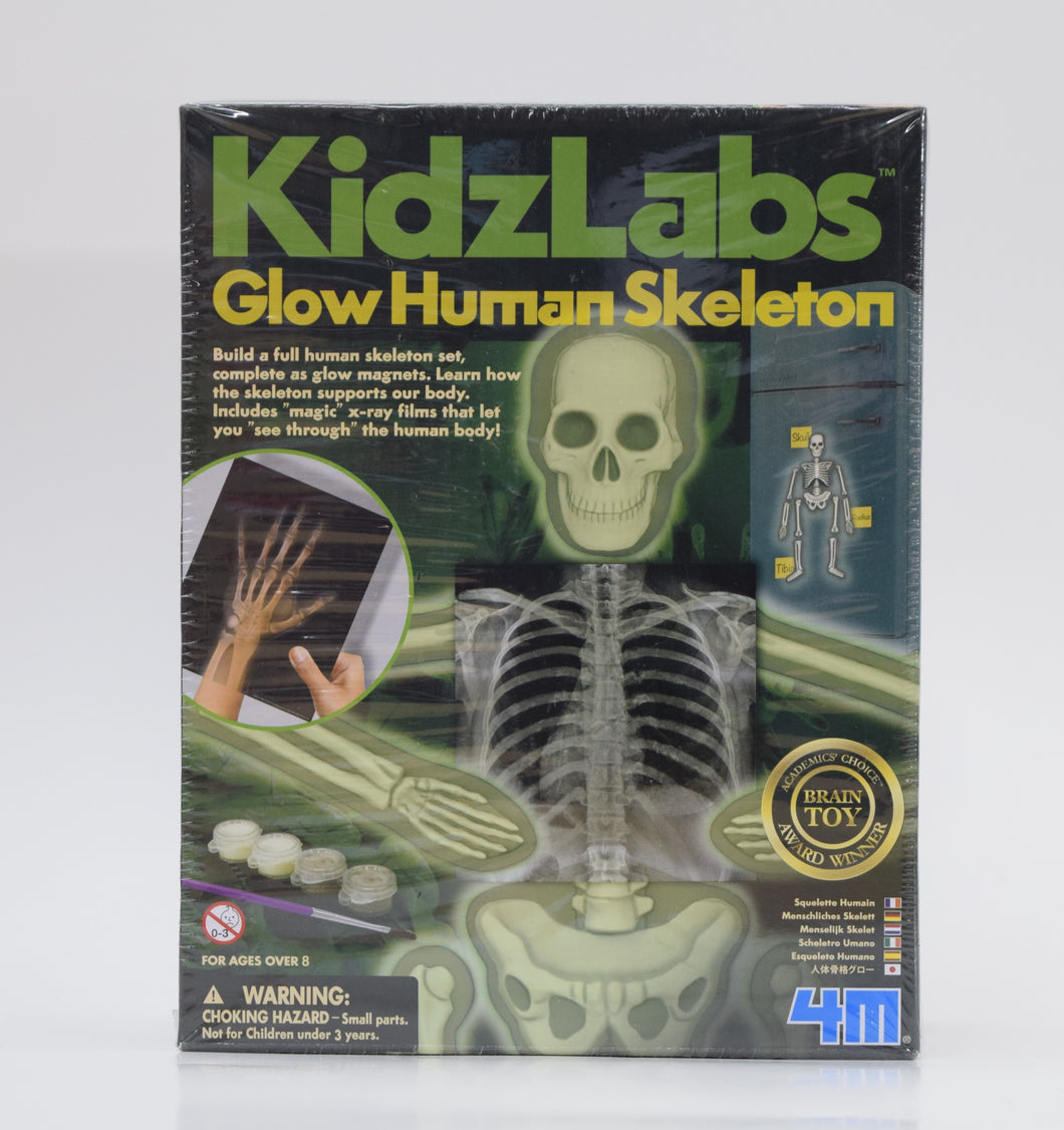 KidzLabs Glow Human Skeleton
