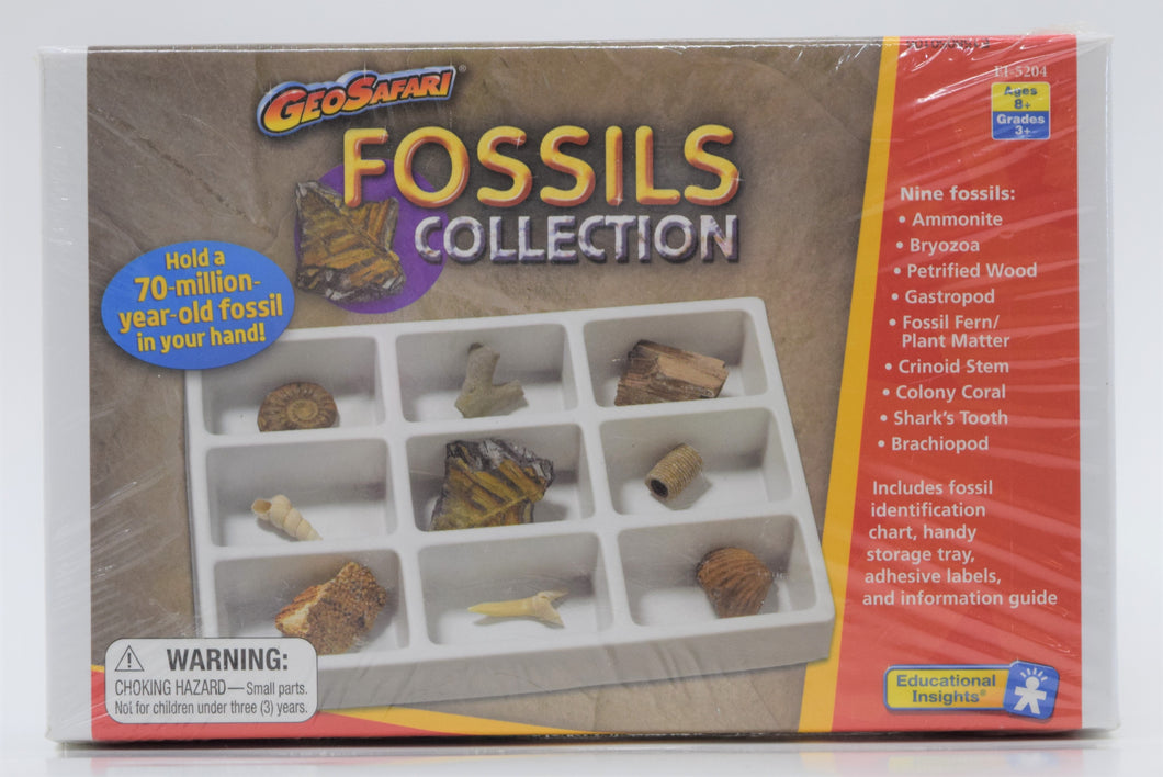 Rock Collection, Fossils