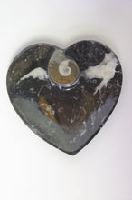 Charger l&#39;image dans la galerie, &lt;transcy&gt;Fossile, plat en cœur 3D avec ammonite&lt;/transcy&gt;
