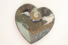 Charger l&#39;image dans la galerie, &lt;transcy&gt;Fossile, plat en cœur 3D avec ammonite&lt;/transcy&gt;
