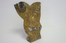 Charger l&#39;image dans la galerie, &lt;transcy&gt;Fossile d’orthocère et d’ammonite sur présentoir&lt;/transcy&gt;
